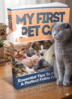 My First Pet Cat