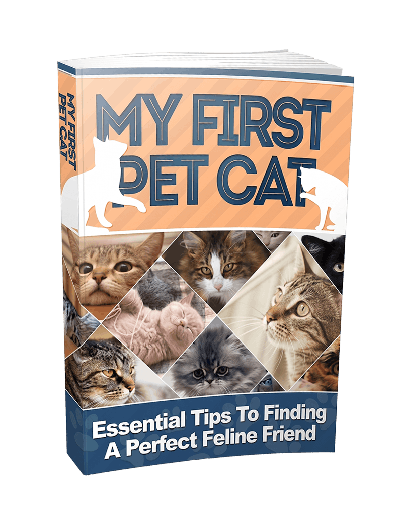 My First Pet Cat